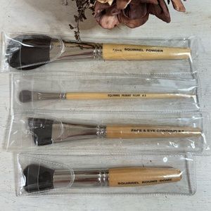 Professional Makeup Brushes / 4 Piece Set